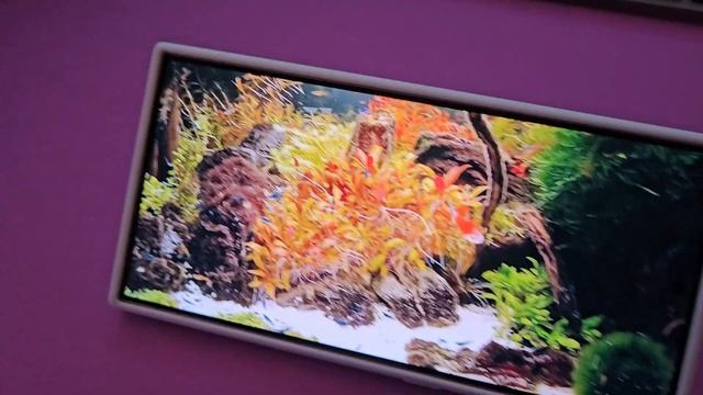 Don't Buy Official Samsung Galaxy S24 Ultra Standing Grip Case Review смотреть онлайн