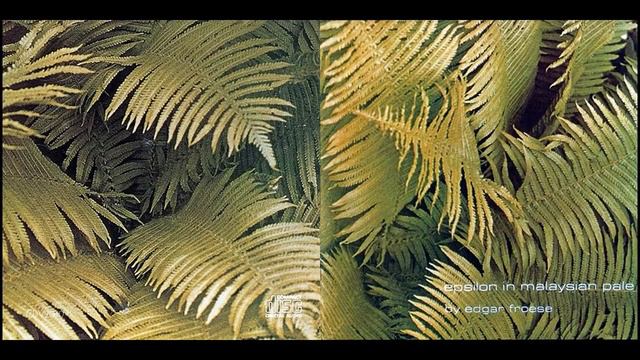 Edgar Froese - Epsilon In Malaysian Pale (Original CD)