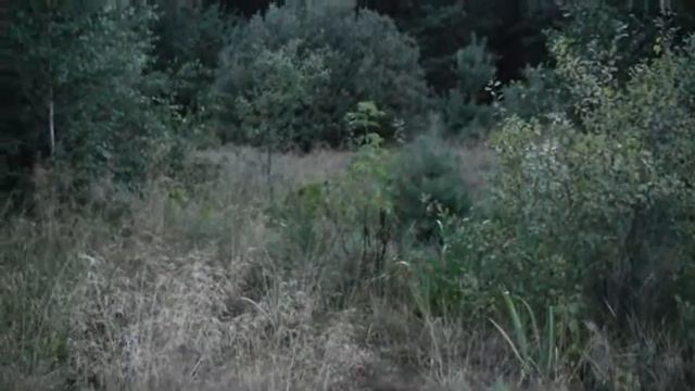Шуман Рева М. смотреть онлайн