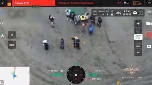 Ирина Волк:В Подольске полицейские задержали мигрантов, которые нелегально выращивали овощи и зелень