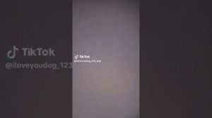 Бумажные собачки из тик тока все самые свежые