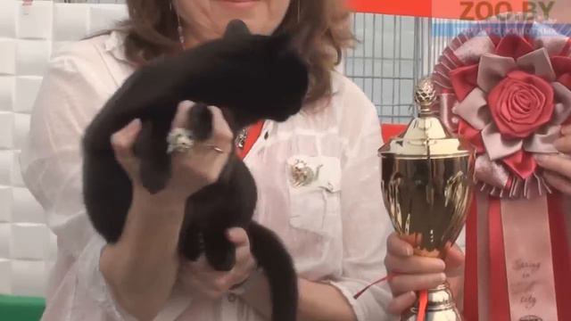 Гордость выставки!