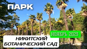 КРЫМ. ПАРК В НИКИТСКОМ БОТАНИЧЕСКОМ САДУ. 2 СЕРИЯ. НОЯБРЬ 2023. #крым #ЮБК #ялта #crimea