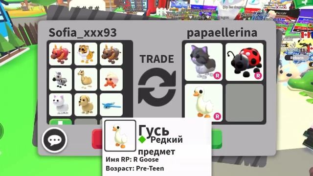 Способ как получить райд пета!|?за 15 минут!|дали классного пета?|Adopt me|Roblox смотреть онлайн