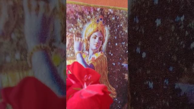 GOVINDA JAYA  JAYA GOPALA JAYA JAYA RADHA RAMANA HARI GOVINDA JAYA!❤❤🙏🙏❤❤