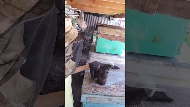 Пчеловодство/Дымарь/ Пчеловодство для начинающих/ Семья в селе смотреть онлайн