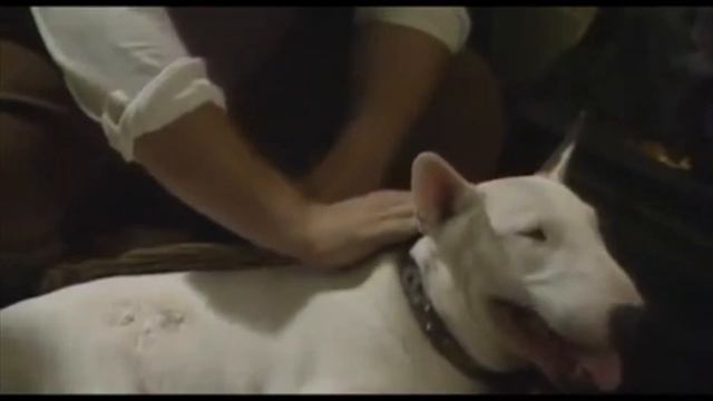 All Creatures Great and Small by James Herriot смотреть онлайн