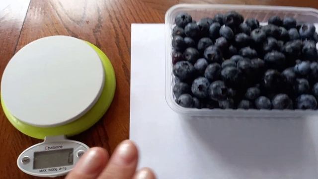 итоги урожая голубики 5-летнего сорта ,,Чандлер,, в 2021 смотреть онлайн