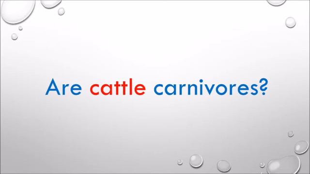 Do you eat beef ? смотреть онлайн
