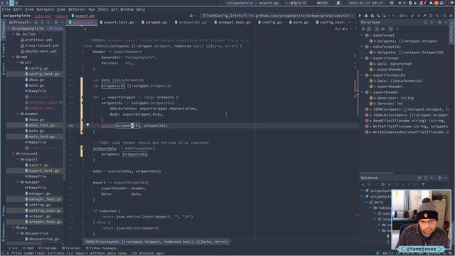 Snippet Pixie: Next - Remove ID and LastUsed fields from v101 JSON export | Always Developing #109 смотреть онлайн