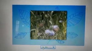 Что такое экология 1 класс