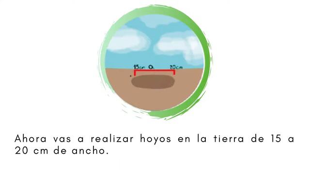 ¿Sabes cómo cultivar la Astromelia? | Aquí te contamos смотреть онлайн