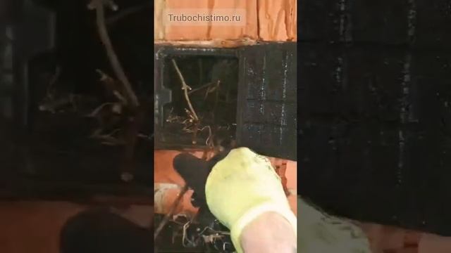 Птичье гнездо в печной трубе. Дневник ТРУБОЧИСТА смотреть онлайн