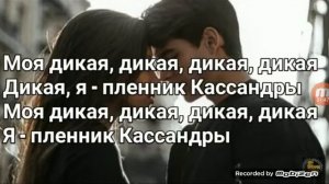 Мая дикая Кассандра