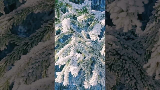 Красота русской природы