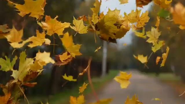 Красота осенней природы. Видео на популярную песню. смотреть онлайн