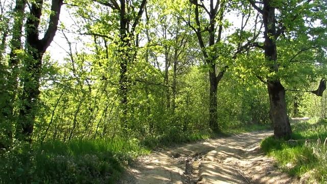 Поездка через Золотую гору. Goldenhill