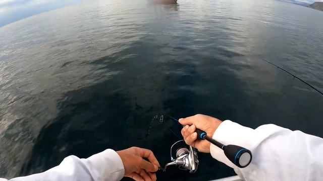 Платная рыбалка на Ставриду и Луфаря в Судаке. Рыбалка в Крыму! смотреть онлайн