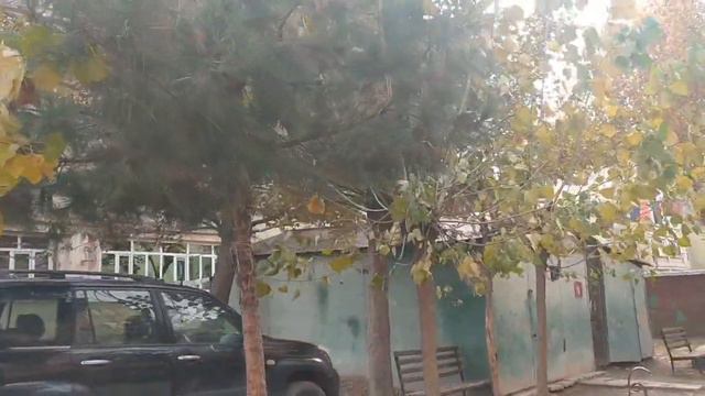Яван, улица Кирова смотреть онлайн