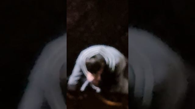 Аида Михайловский театр 23