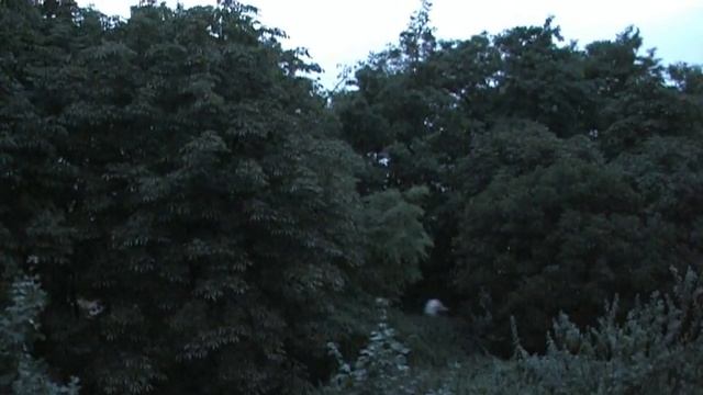 Галопом по Европам. Тур 2006 года. День 4 ч.4 и день 5 ч.1. Бельгия. Антверпен - Antwerp смотреть онлайн