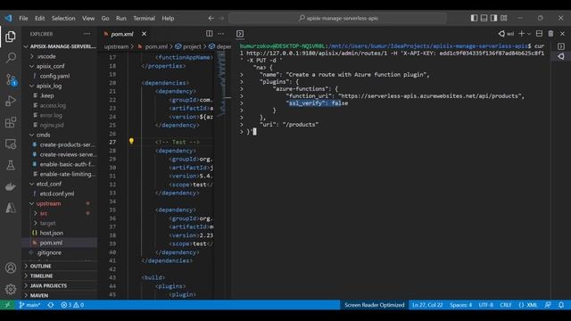 Manage serverless APIs with Apache APISIX смотреть онлайн