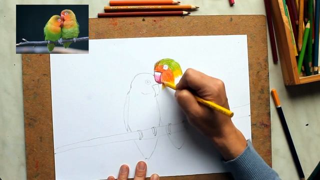 Птички, урок для детей 5-8 лет, цветные карандаши смотреть онлайн