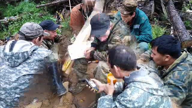 День работников леса 2020 смотреть онлайн