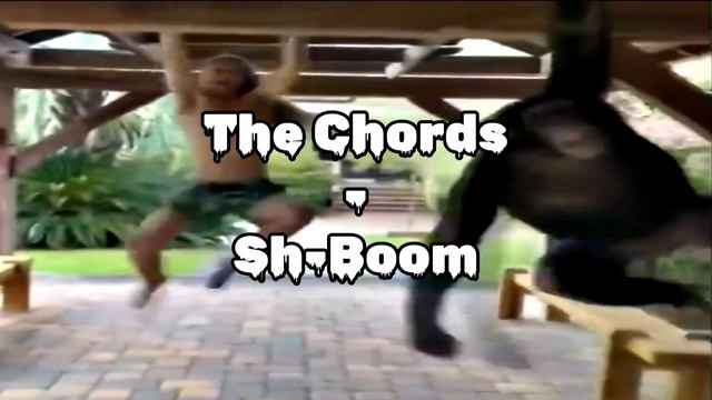 The Chords - Sh-Boom | low quality/the back of the room смотреть онлайн