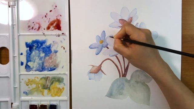 Relaxing Watercolor Painting Time Lapse: Vintage Style Blue Hepatica Flowers