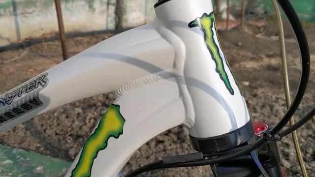 Mongoose Teocali (custom)