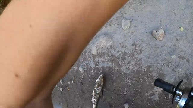 БЬЮ РЕКОРДЫ НА ЛОСОСЬ ЧАВЫЧА. ВКУСНЕЙШИЕ КОТЛЕТЫ ИЗ ЛОСОСЯ! РЫБАЛКА В США.