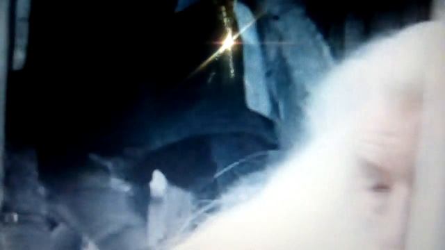 Вот так нужно драца смотреть онлайн