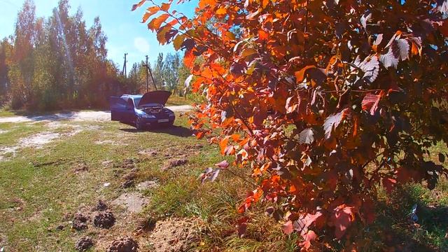 На ЩУПЕ два разных УРОВНЯ МАСЛА в обеих СТОРОН - КАКОМУ верить? смотреть онлайн