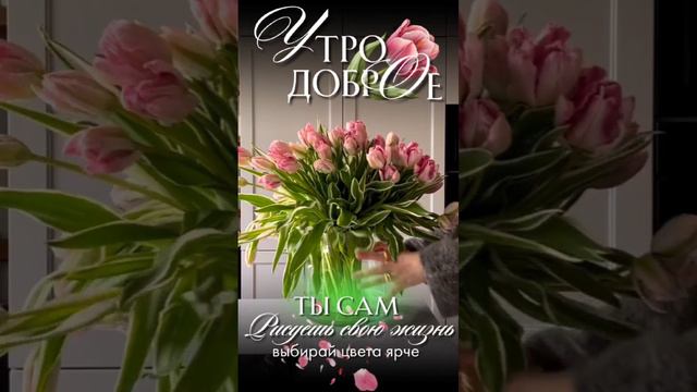 Доброе воскресное утро смотреть онлайн