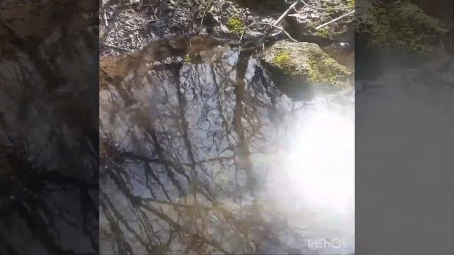 #поэзия #стихи #цветочныймикс Стихи о весне. смотреть онлайн