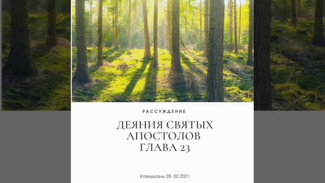 Рассуждение // ДЕЯНИЯ СВЯТЫХ АПОСТОЛОВ 23 глава смотреть онлайн