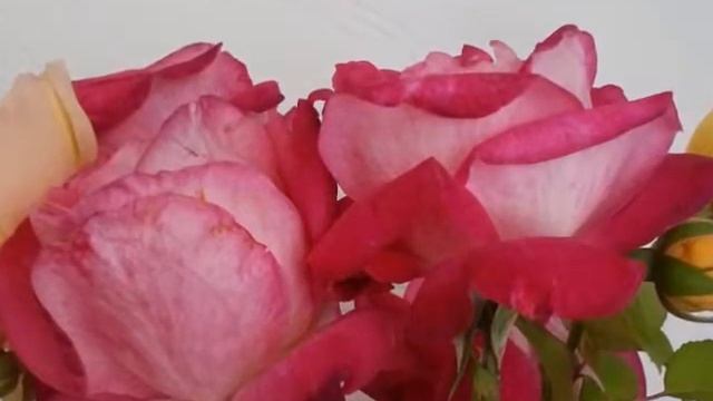 мама и сын! (христ.стих) смотреть онлайн