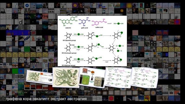 Кора эвкалипта снизит стоимость производства графена в сотни раз смотреть онлайн
