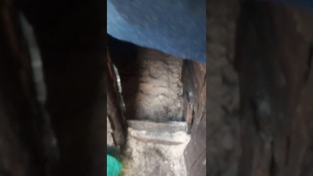 Поздний запуск глубокой подстилки смотреть онлайн