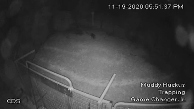 19 hogs from the city смотреть онлайн