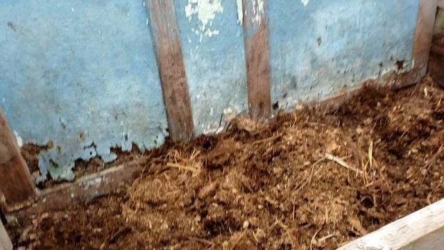 Текущие работы в огороде смотреть онлайн