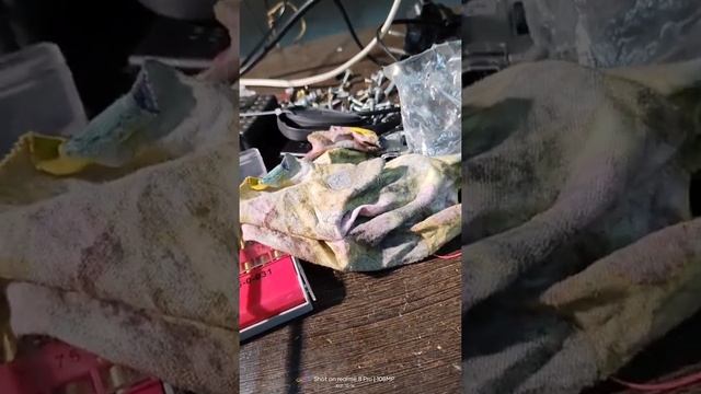 ворота откатные автоматика АлиЭкспресс промышленная 76 смотреть онлайн