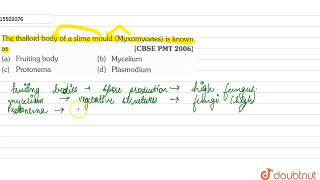 The thalloid body of a slime mould (Myxomycetes) is known as | 11 | PROSTISTA | BIOLOGY | ERROR... смотреть онлайн