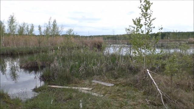 Озеро Крячек май 2017г смотреть онлайн
