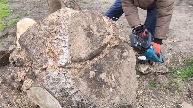 Cutting Apple log and Walnut root with electric Chainsaw смотреть онлайн