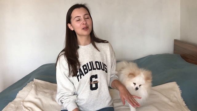 От чего меня спас пес. Черное разведение. Первый год моего шпица. VLOG 2023 смотреть онлайн