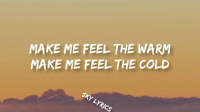 Reality | Lost Frequencies | Lyrics Video