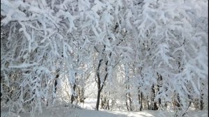 СНЕЖНАЯ ЗИМА / Зимние Пейзажи / Солнечный Зимний День / Красивая Музыка / Волшебная Зимняя Мелодия