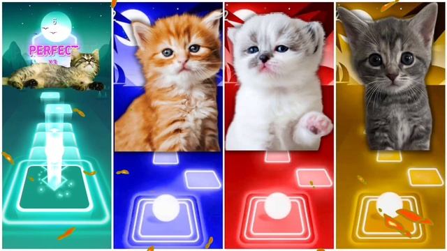 ALL - CUTE CATS Battle | Tiles Hop EDM Rush